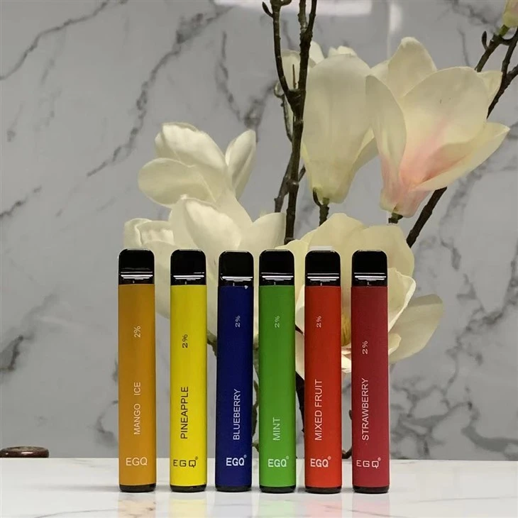 Hot 600 Puffs Disposable E Cig